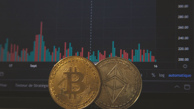 现货交易哪个平台比较好：费率图表